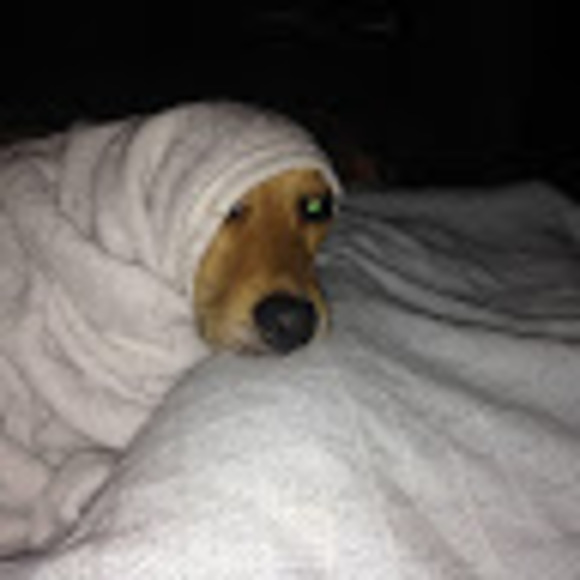 Meet your Posher, Heejin - Picture 1 of 1